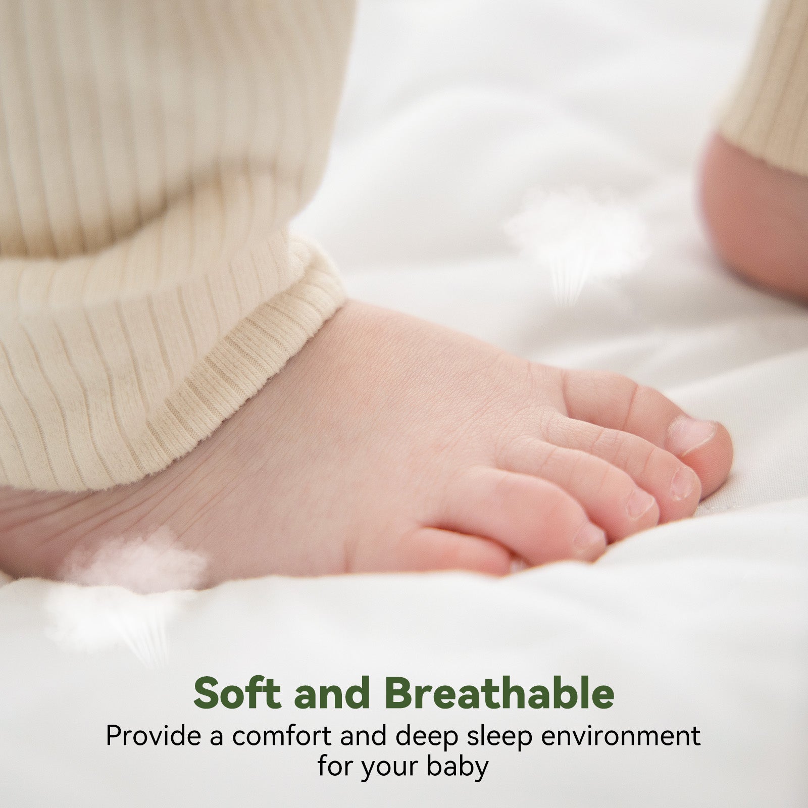 Mattress Protectors