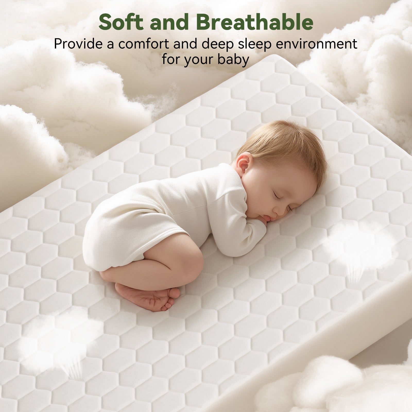 Mattress Protectors